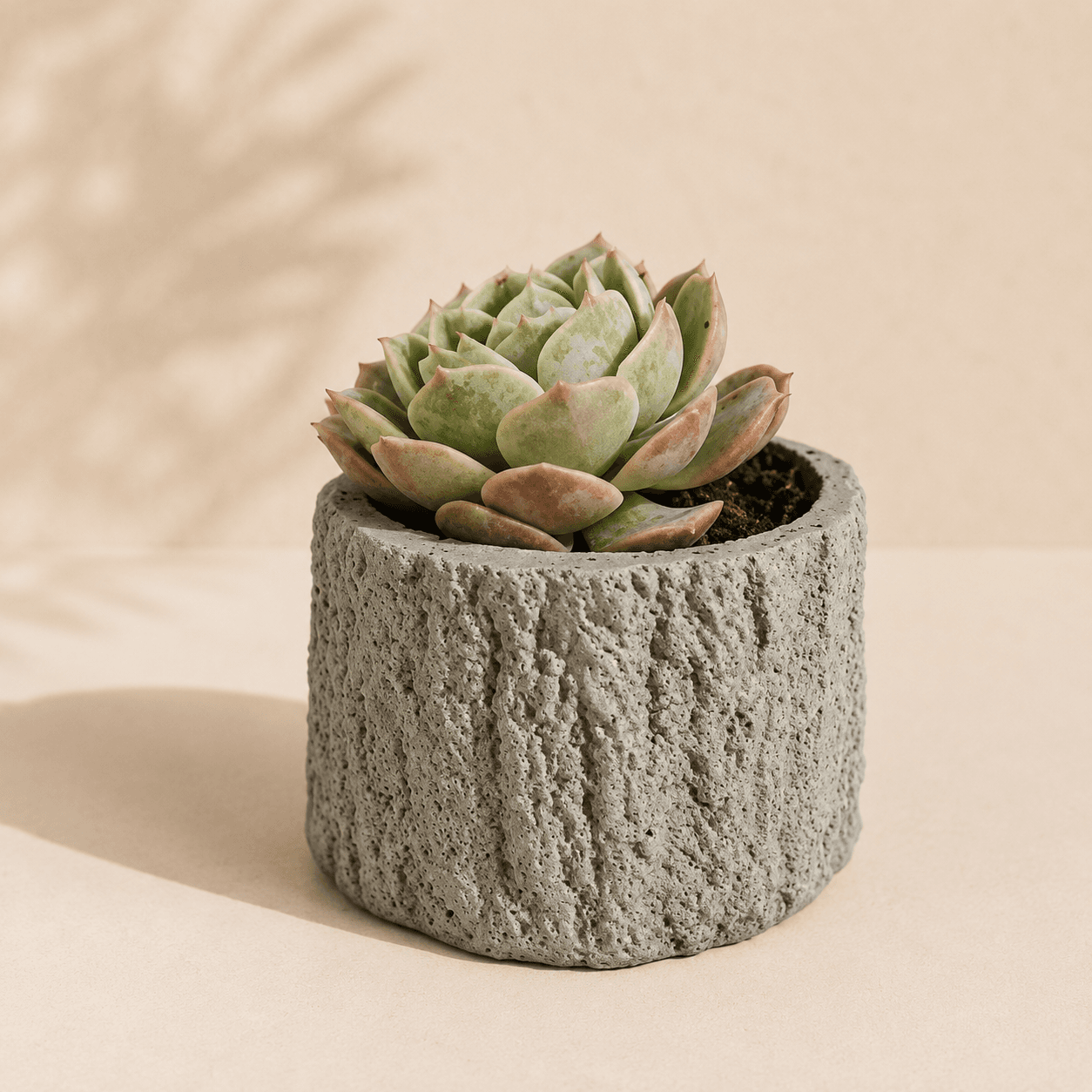 Treestump Planter